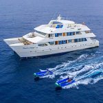https://ecoamericatours.com/galapagos/mc-treasure-of-galapagos-cruise/