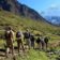 Trek of the Inca Trail